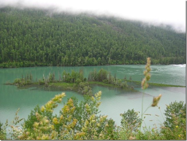 新疆上傳050 新疆上傳050