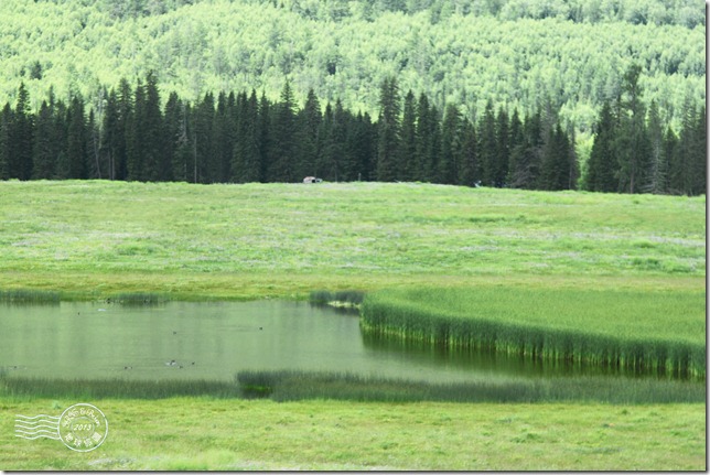 新疆上傳080 新疆上傳080