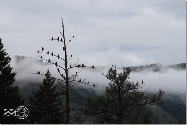 新疆上傳070 新疆上傳070