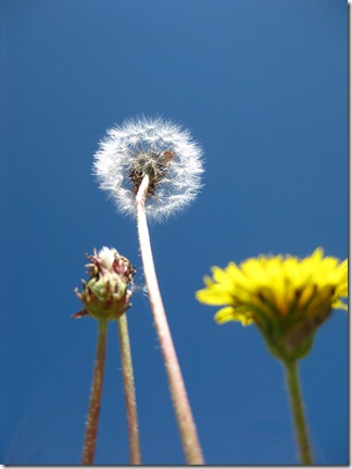 北疆2013_0727_130819 北疆2013_0727_130819