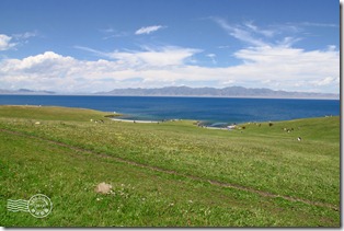 新疆上傳102 新疆上傳102