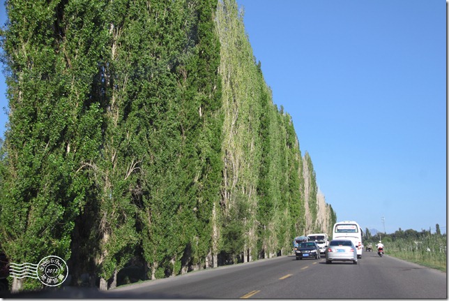 新疆上傳103 新疆上傳103