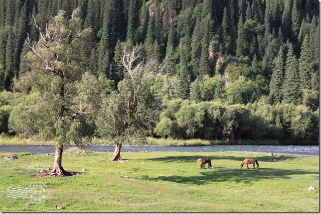新疆上傳106 新疆上傳106