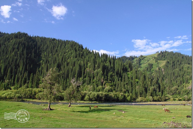 新疆上傳107 新疆上傳107