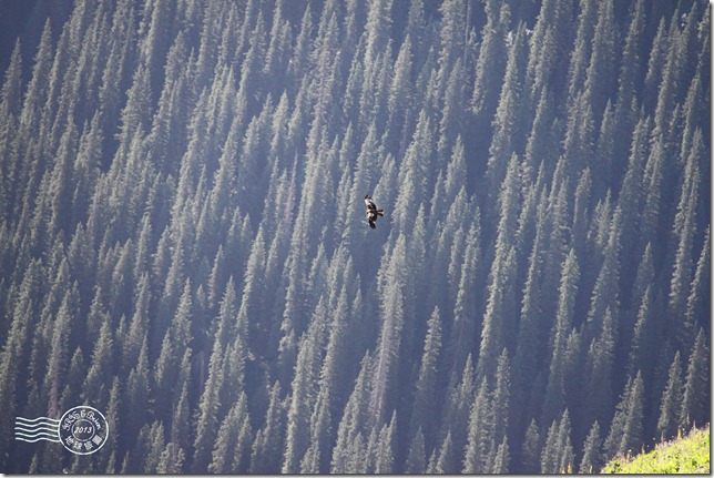 新疆上傳111 新疆上傳111