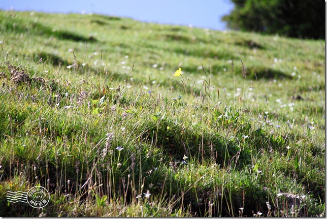 新疆上傳113 新疆上傳113