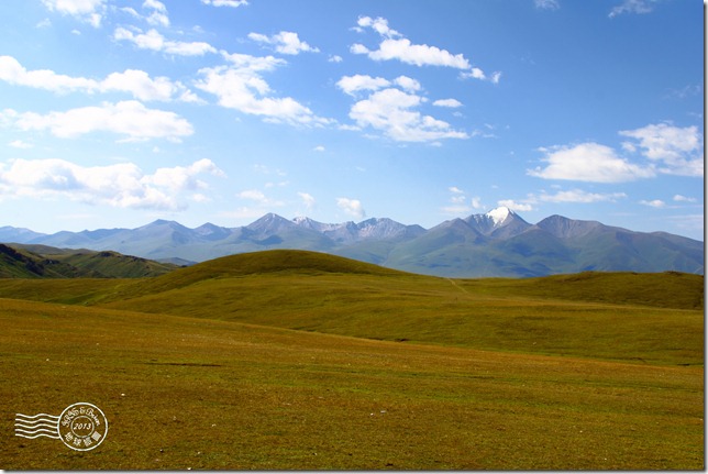 新疆上傳117 新疆上傳117