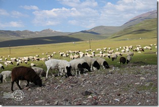 新疆上傳118 新疆上傳118