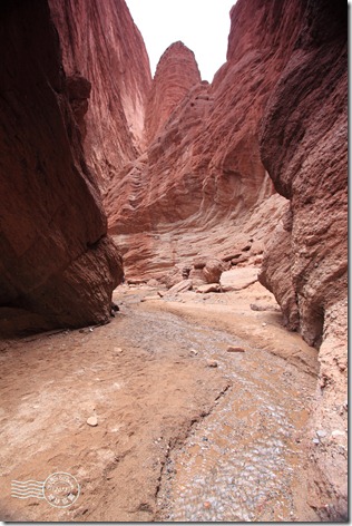 新疆上傳130 新疆上傳130