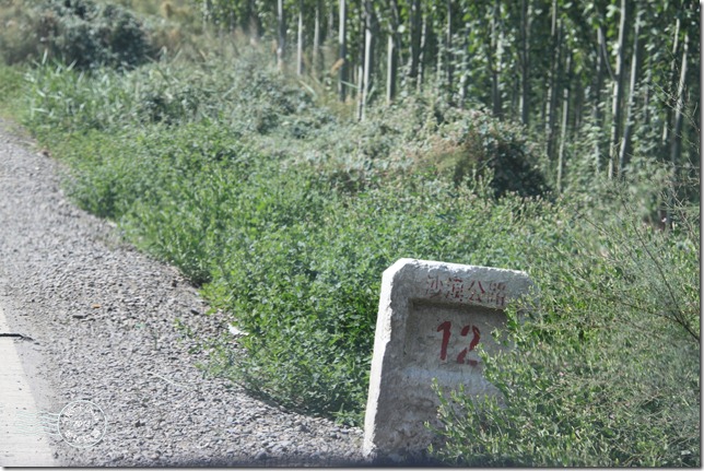 新疆上傳134 新疆上傳134