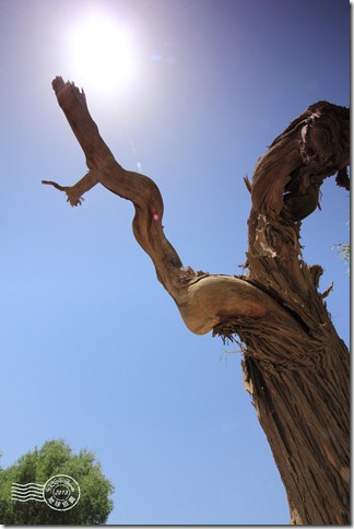 新疆上傳136 新疆上傳136