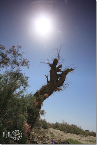 新疆上傳140 新疆上傳140