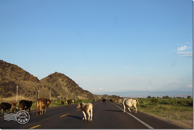 新疆上傳104 新疆上傳104