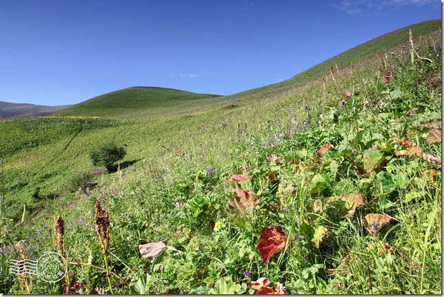 新疆上傳108 新疆上傳108