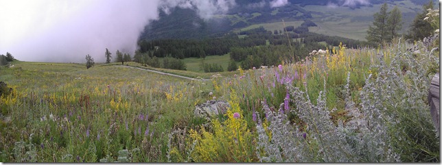 2013-07-25 10.26.17 2013-07-25 10.26.17