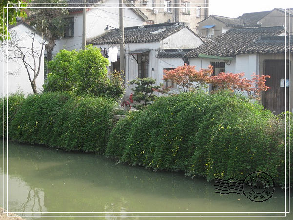 IMG_9239.jpg IMG_9239.jpg