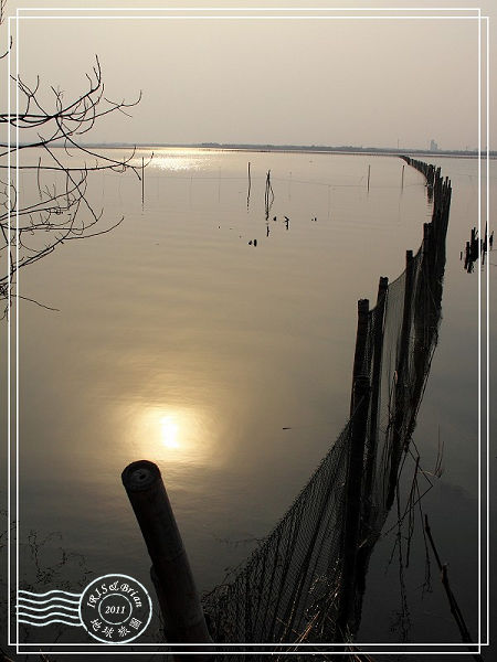 陽澄湖尋找鬱金香0022(001).jpg 陽澄湖尋找鬱金香0022(001).jpg