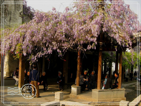 IMG_9261.jpg IMG_9261.jpg