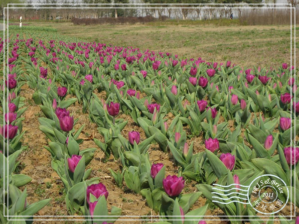 IMG_8833(001).jpg IMG_8833(001).jpg