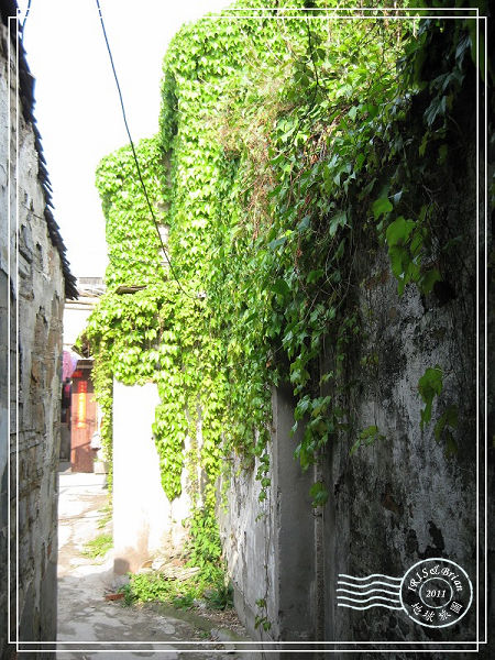 IMG_9224.jpg IMG_9224.jpg