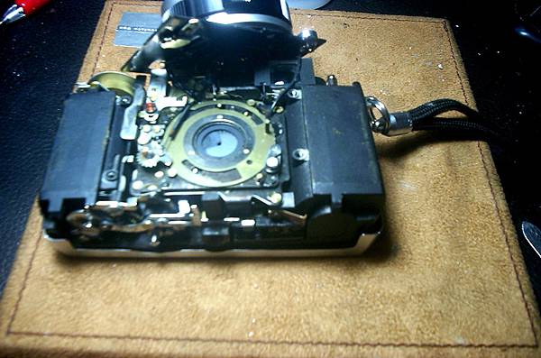 DCP_1970.JPG DCP_1970.JPG