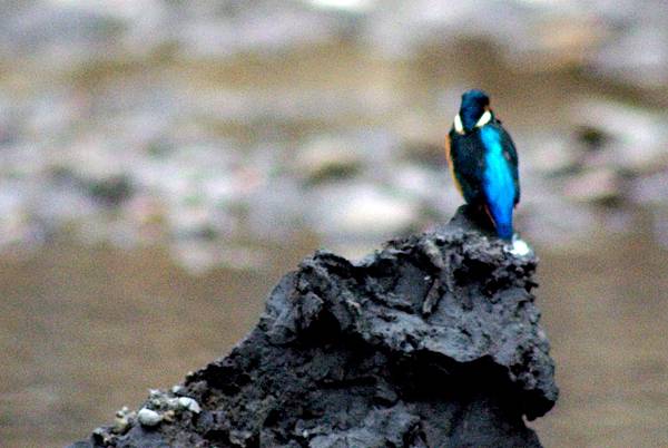 IMGP0286.JPG IMGP0286.JPG