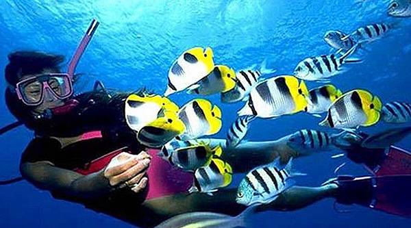 潛水裝備 潛水裝備