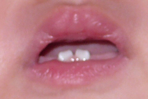 1212-1.jpg 1212-1.jpg