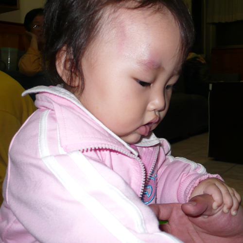 20090227-2.jpg 20090227-2.jpg