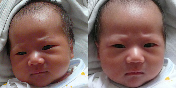 20day-2.jpg 20day-2.jpg