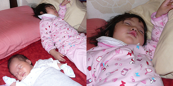 20day-5.jpg 20day-5.jpg
