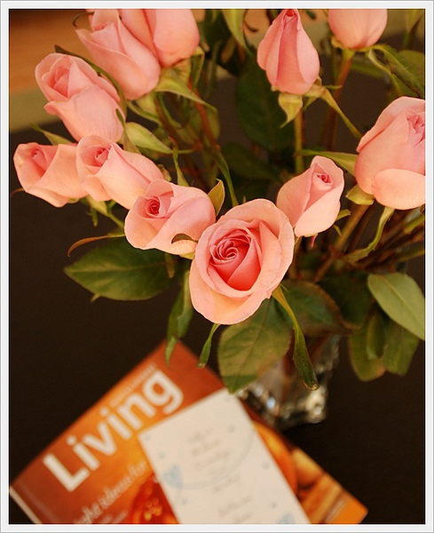 9/27/2010 birthday roses