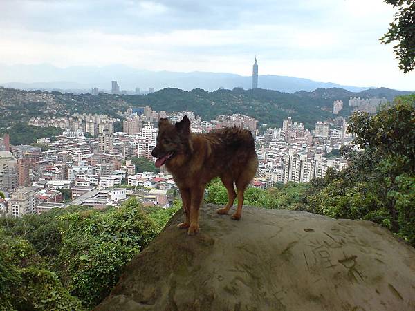 隔一個月再上仙跡岩 隔一個月再上仙跡岩