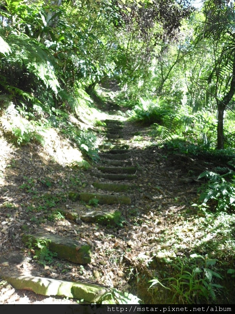 接近山頭的石階 接近山頭的石階