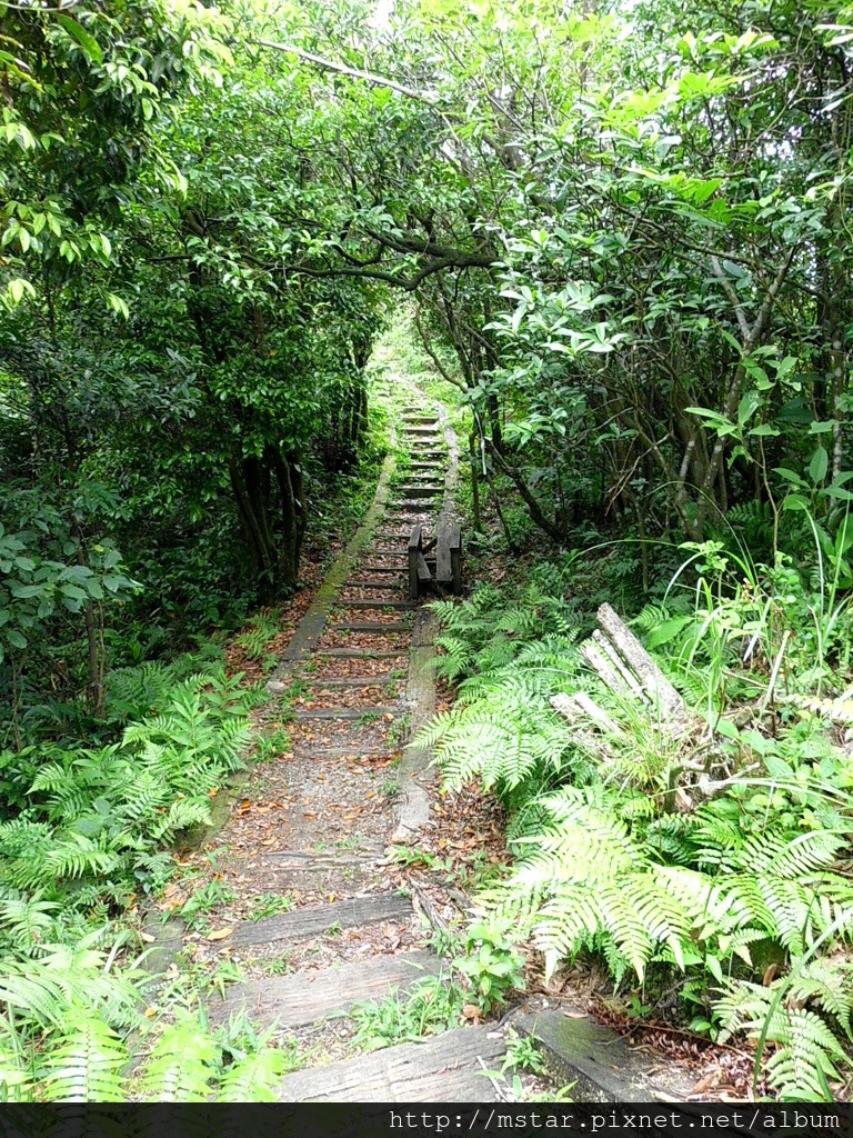 枕木步道