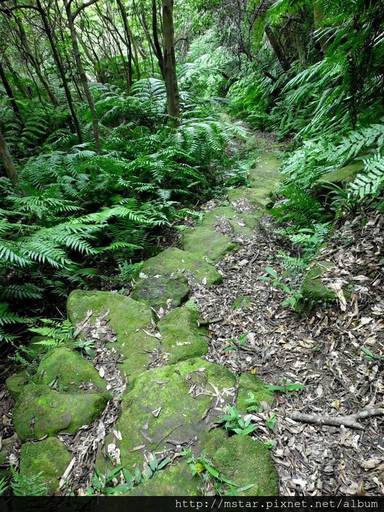 石塊階梯