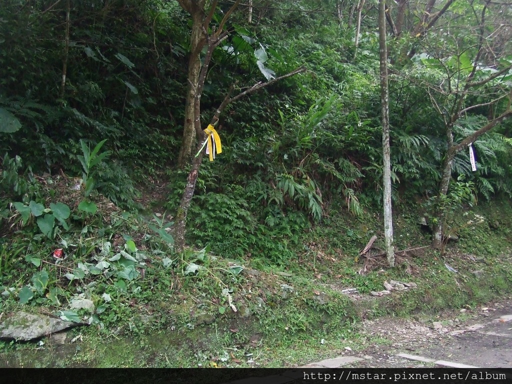 信賢國小對面登山口