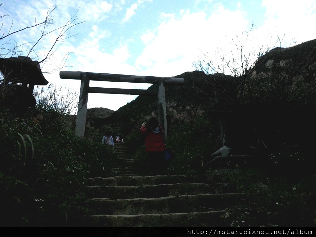 黃金神社鳥居