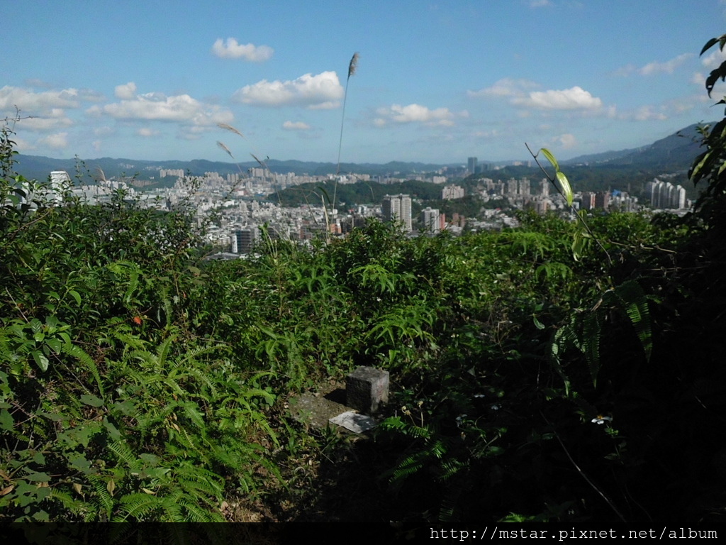 茅草埔山 140M