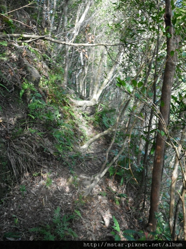 陡坡邊路徑