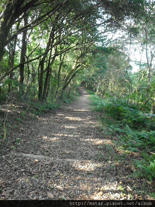 中間寬敞平緩碎石路