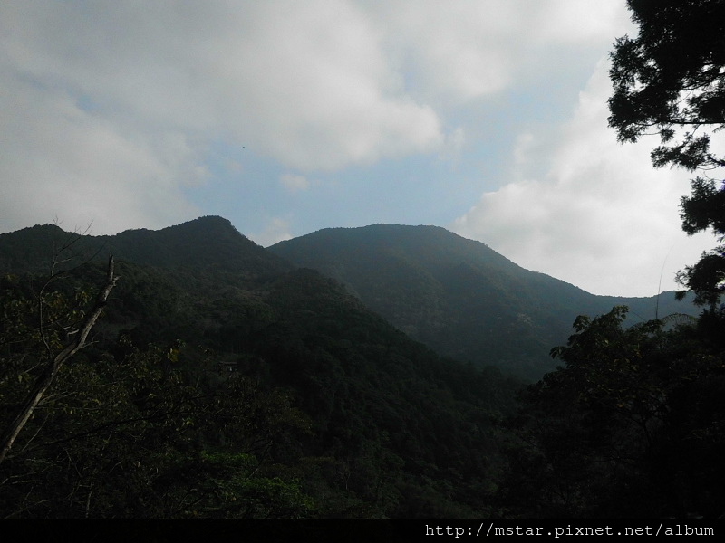 車道上看大桶山