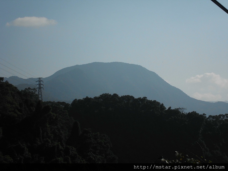 展望大桶山