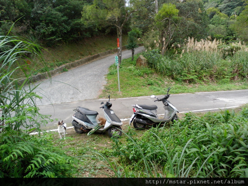 出來後續行對面車道