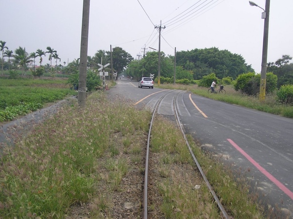 烏樹林糖廠前的糖鐵軌道 烏樹林糖廠前的糖鐵軌道