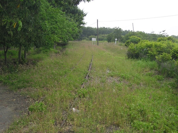 烏樹林糖廠前的糖鐵軌道 烏樹林糖廠前的糖鐵軌道