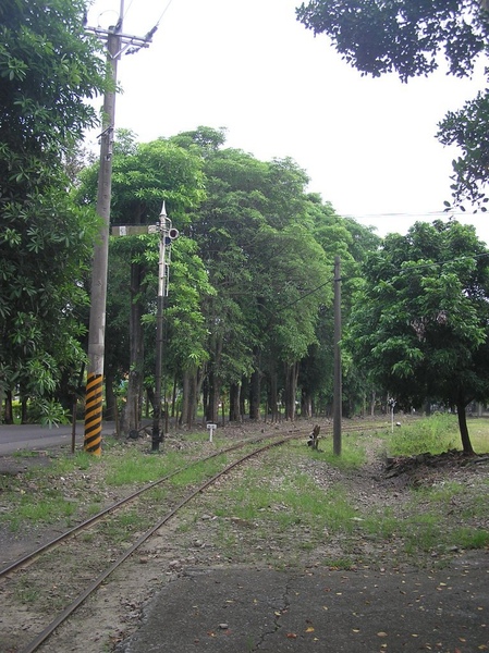 烏樹林糖廠前的糖鐵軌道 烏樹林糖廠前的糖鐵軌道