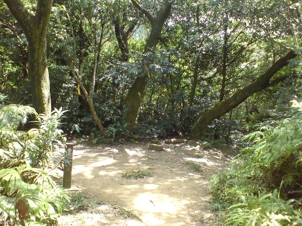 往筆架山的岔路 往筆架山的岔路