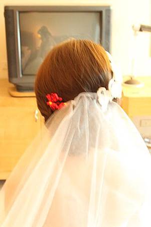 IMG_8295.JPG IMG_8295.JPG