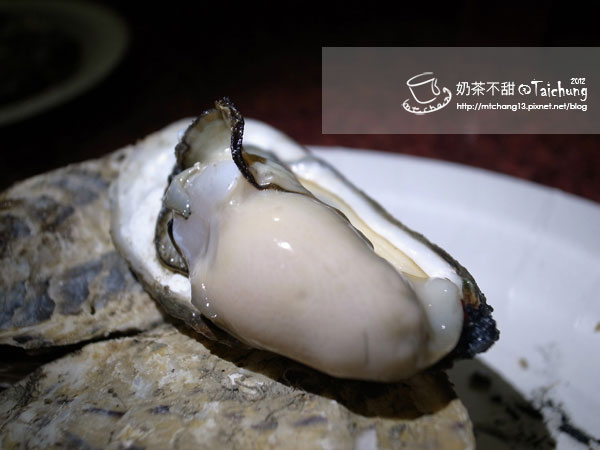 烤蚵ndsx 烤蚵ndsx